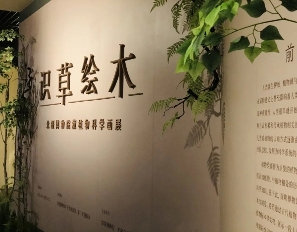 抓住暑假的尾巴，帶孩子感受博物館藝術(shù)的“光合作用”！