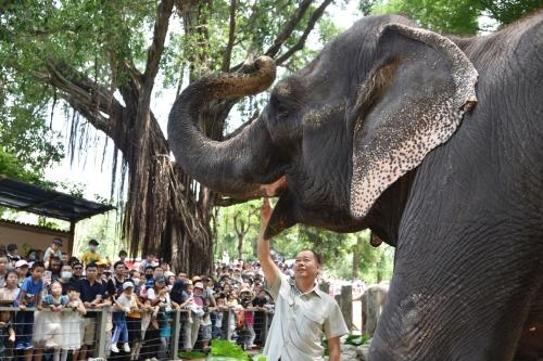 五一假期首日，深圳野生動物園動物科普講解吸引游客
